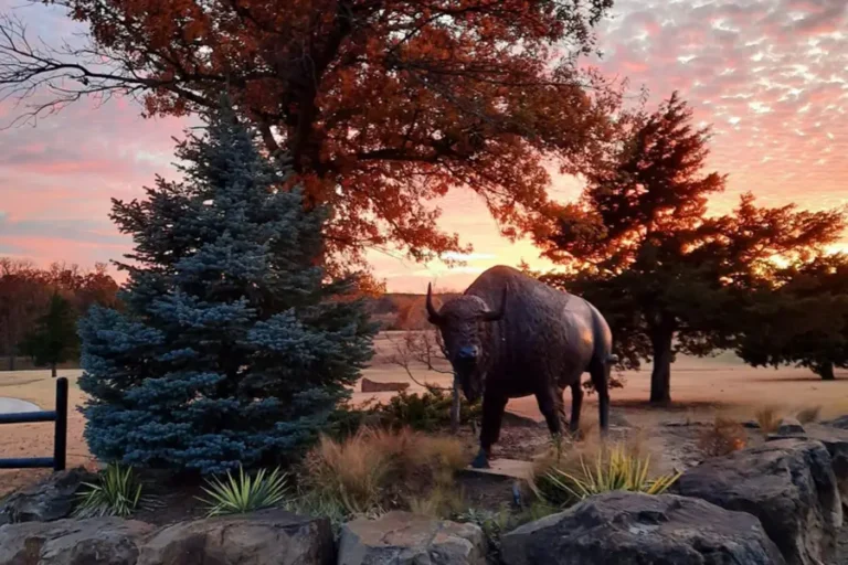 Buffalo Rock