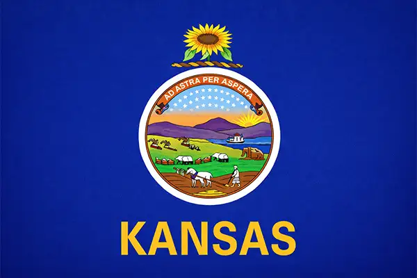 Kansas State Flag