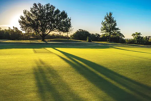 Kickingbird Golf Feature