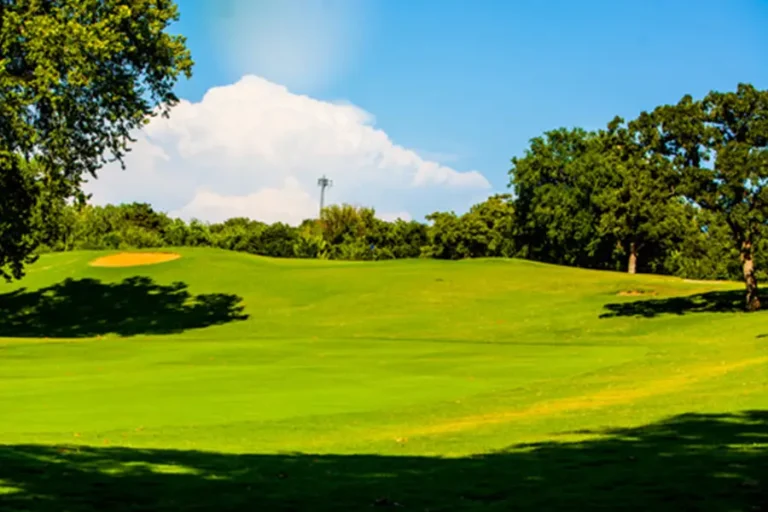 Lincoln Park Golf Course Gallery