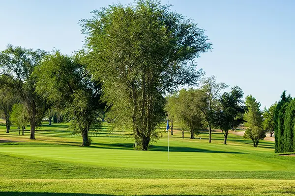 Apple Valley Golf Feature