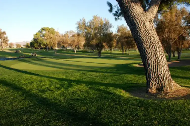 Apple Valley Golf Gallery