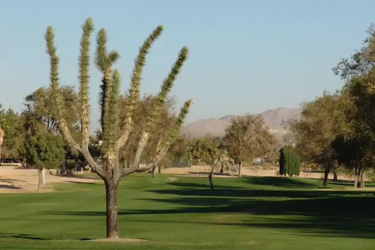 Apple Valley Golf Gallery