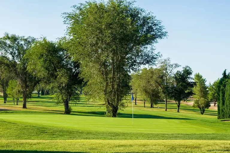 Apple Valley Golf Gallery