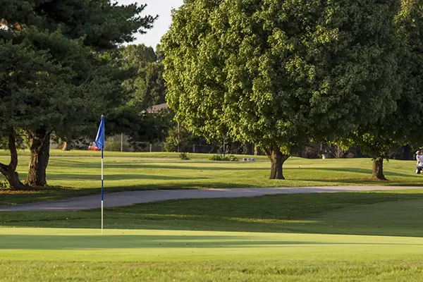 Bill and Payne Golf Feature