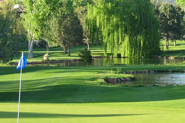 Canyon Mesa Country Club Feature