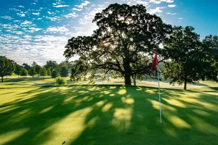 Carthage Golf Gallery