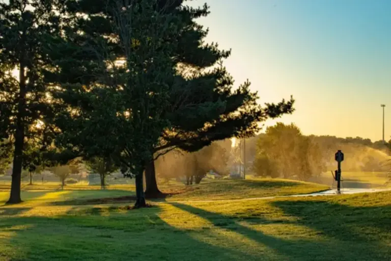 Carthage Golf Gallery