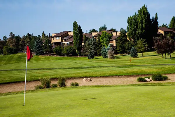 Continental Golf Club Feature
