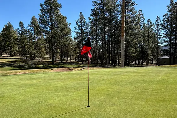 Elephant Rocks Golf Feature