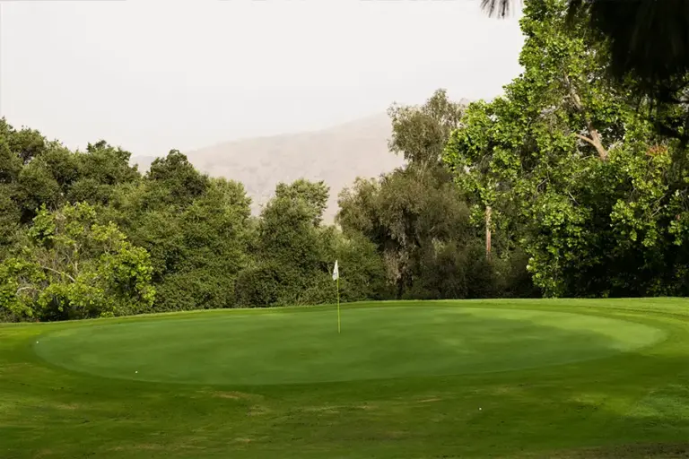 Marshall Canyon Golf Gallery
