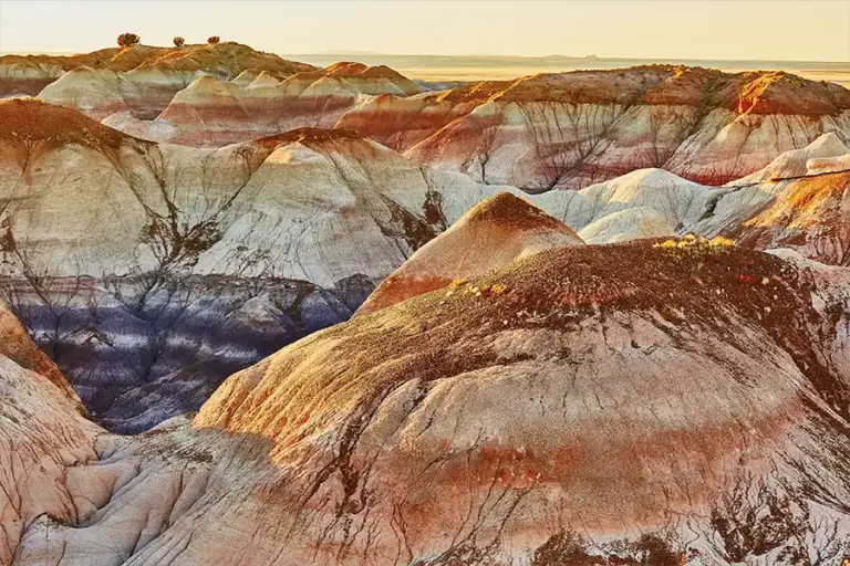 Painted Desert Petrified Forest