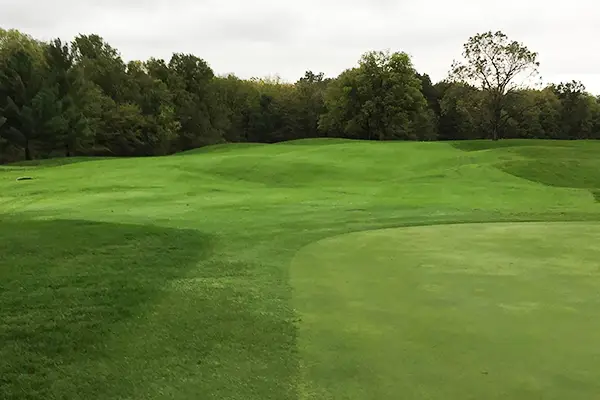 Piper Glen Golf Feature