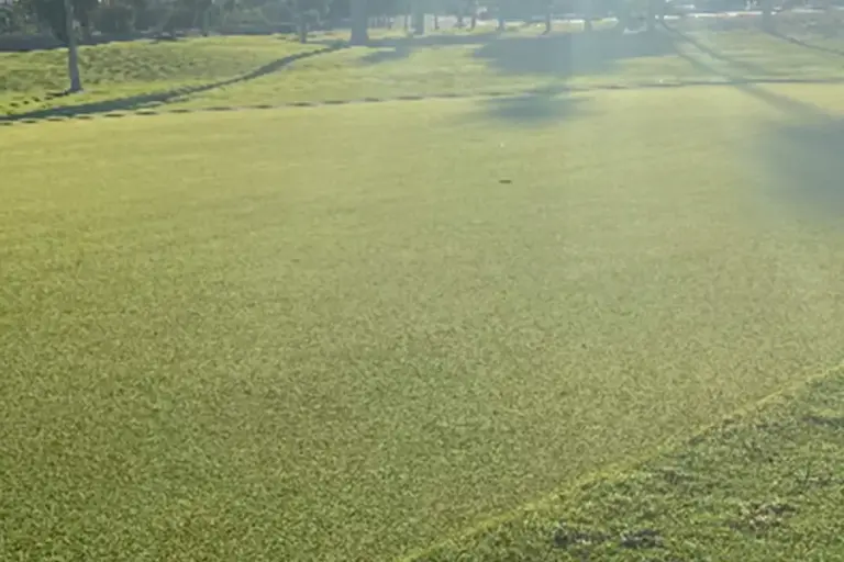 Rivers Edge Golf gallery