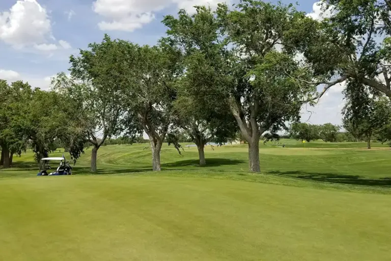 Ross Rogers Golf Complex Gallery