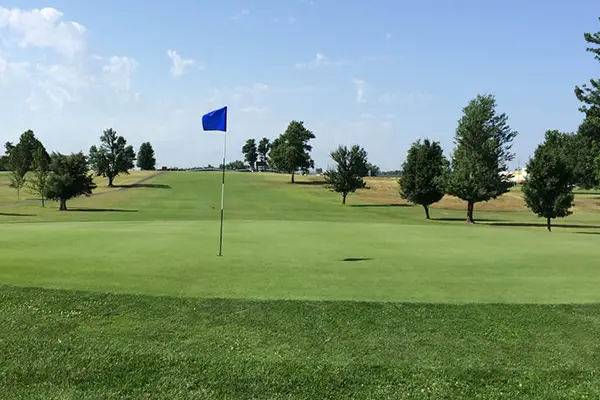 Schifferdecker Golf Feature