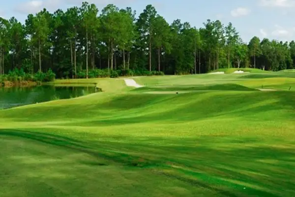Valle Vista Golf Feature