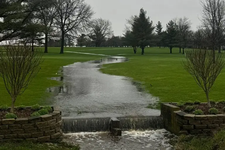Wolf Creek Golf Gallery
